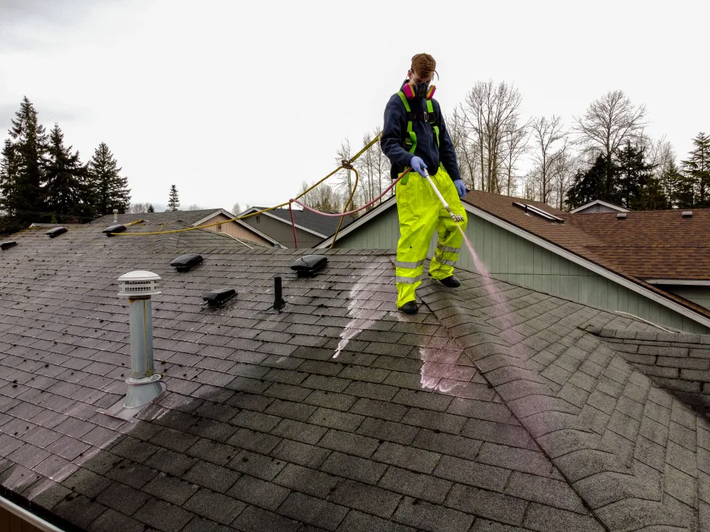 Roof Washing project 1